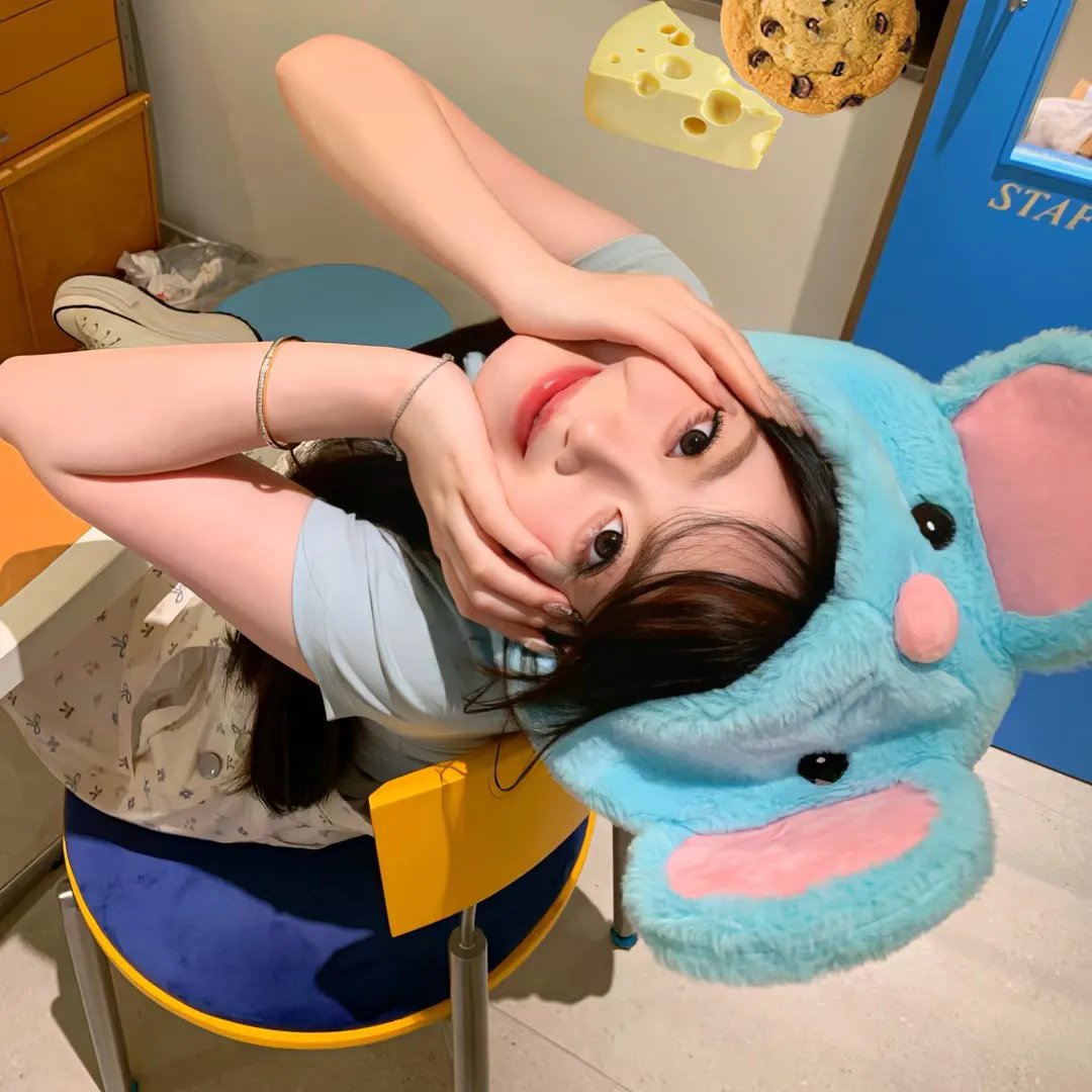 飞行员呆呆鸟