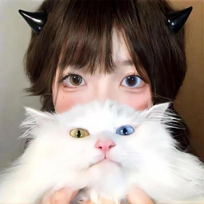 梦墙