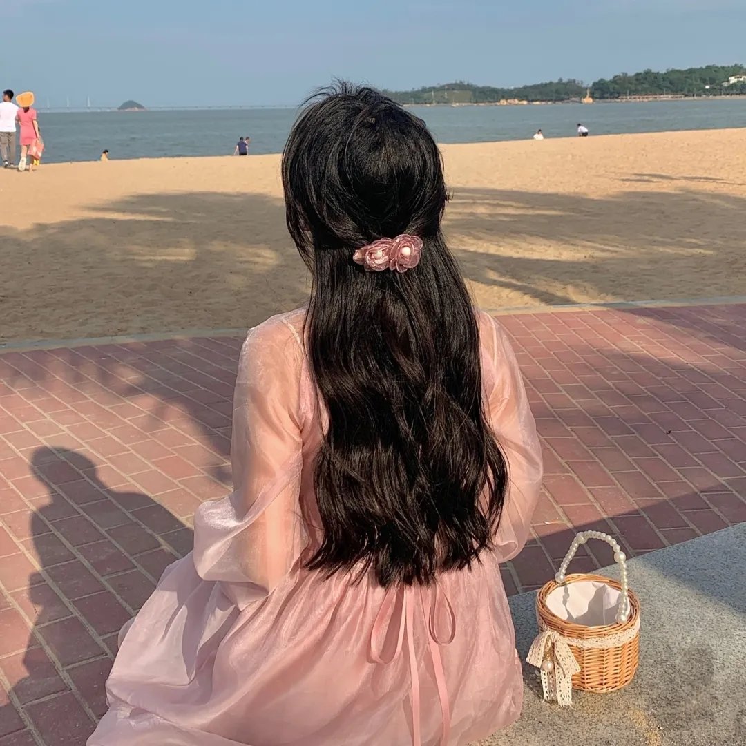 火之鸟772